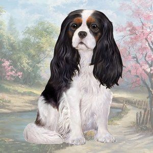 Cavalier Tricolor stone coasters